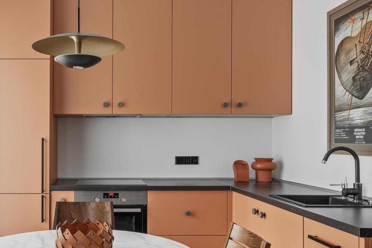 Ivis House - Stylish And Original Apartment In Vilnius Old Town Extérieur photo