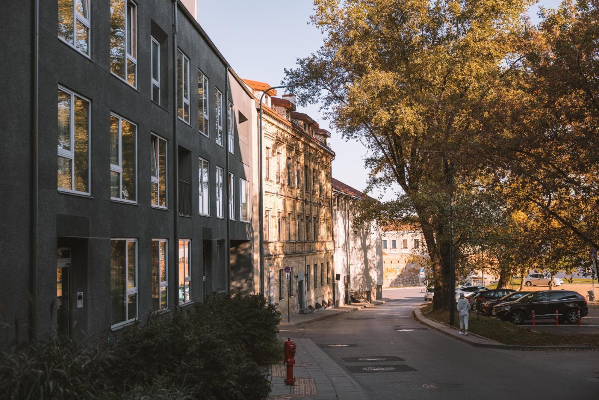 Ivis House - Stylish And Original Apartment In Vilnius Old Town Extérieur photo